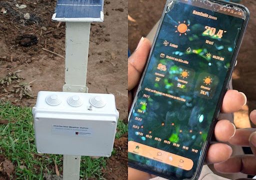 Empowering Smallholder Farmers Through IoT and AI